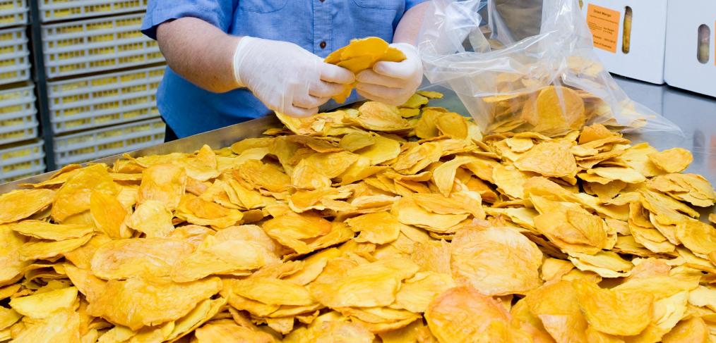 Dried Mango Australia