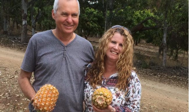 Meet Our Pineapple Grower