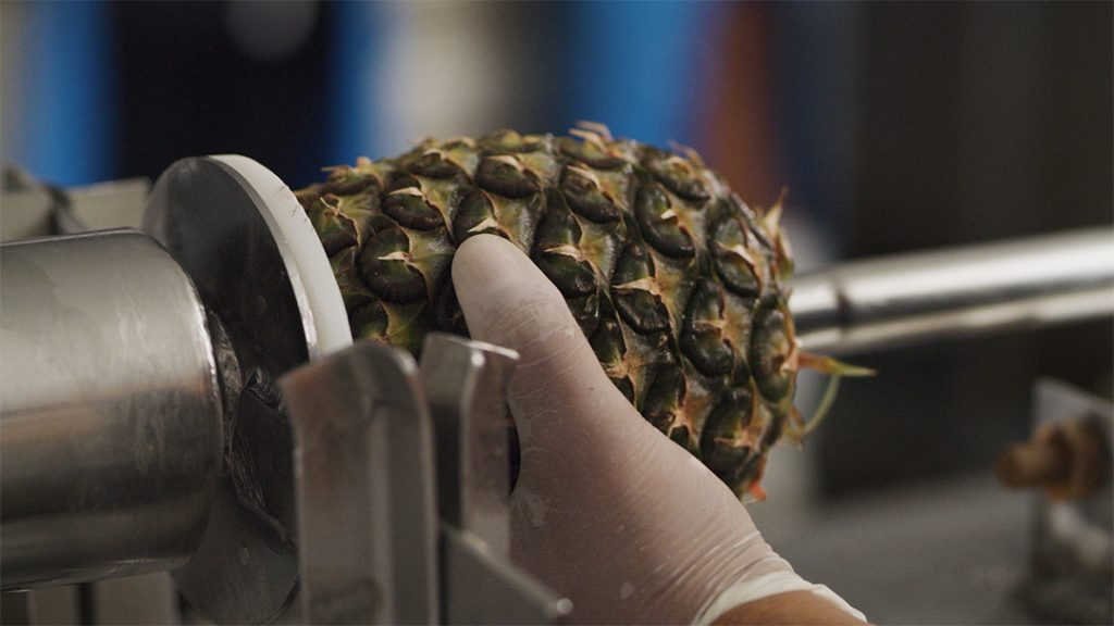 A pineapple having its core removed.