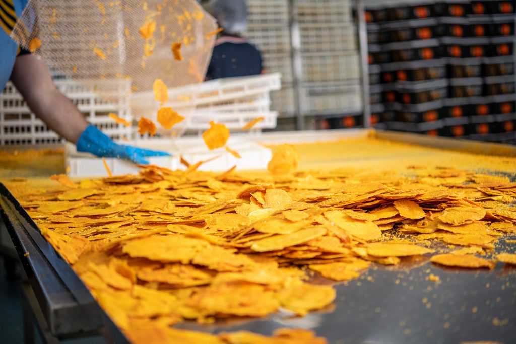 Dried mangoes ready for packagin.